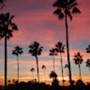 Meet your Posher, Emmi